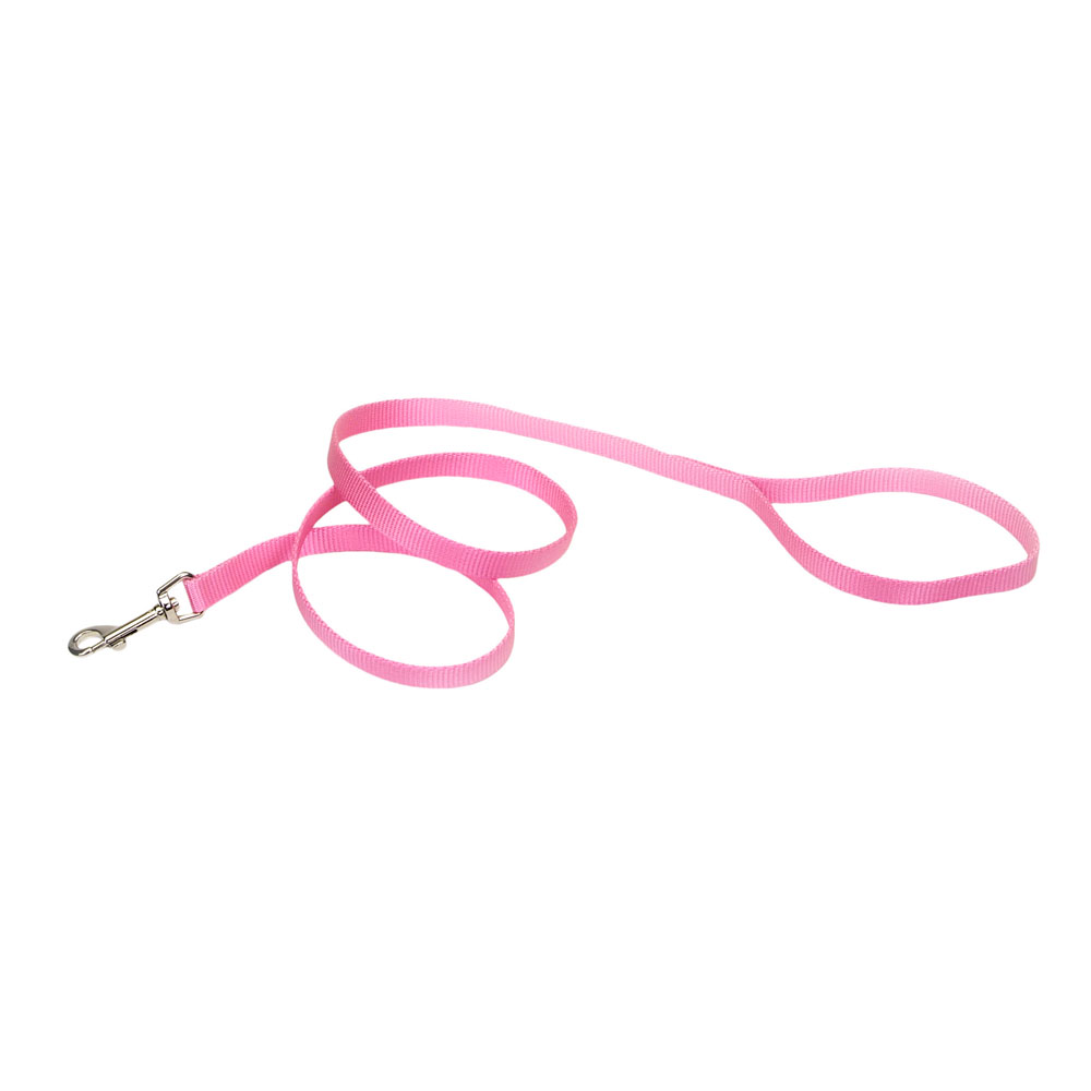Coastal Pet Nylon Lead - 5/8" x 6\'