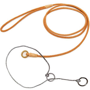 Show leads hot sale and collars