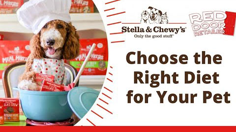 Choose the Right Diet for Your Pet