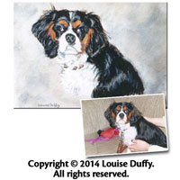 Louise Duffy Commissioned Pet Portrait in Oil