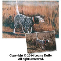 Louise Duffy Commissioned Pet Portrait in Pastel