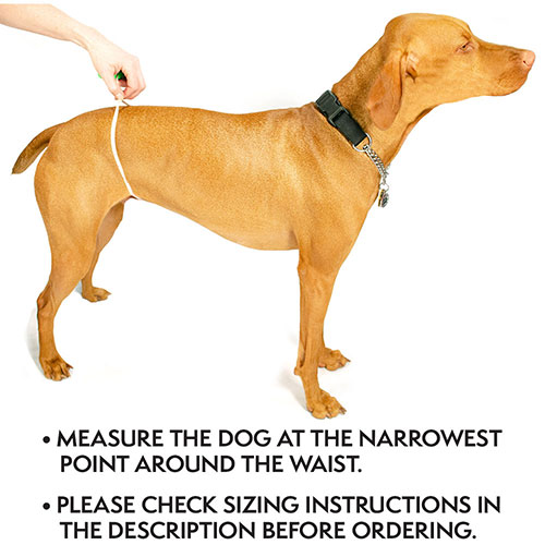 How to Measure Your Dog