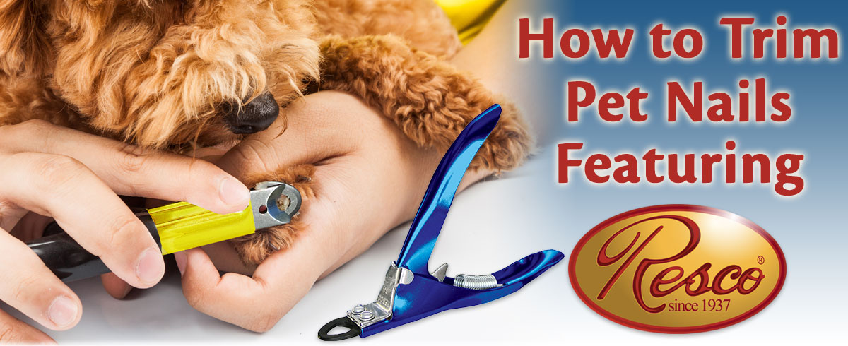 How to Trim Pet Nails Featuring Resco