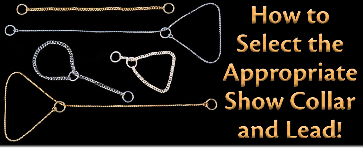 How to Select the Appropriate Show Collar and Lead!