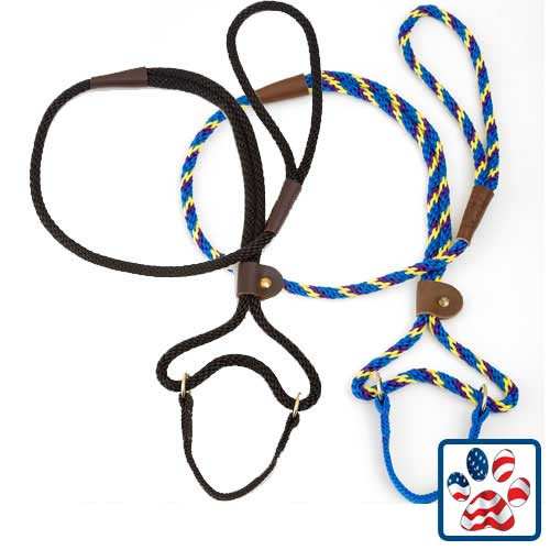 mini flexi leash