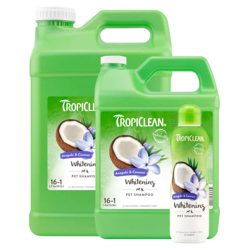 TropiClean Awapuhi Coconut Whitening Shampoo for Pets - Main Image