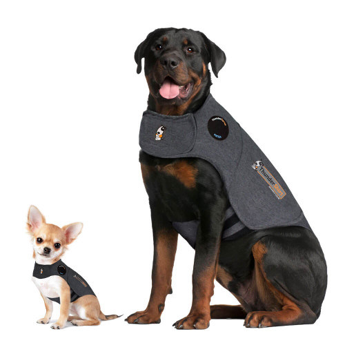 Thundershirt Heather Grey