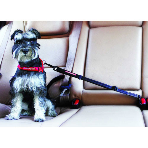EZY DOG Click Restraint