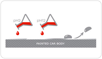csl-info2.jpg csl-info2.jpg