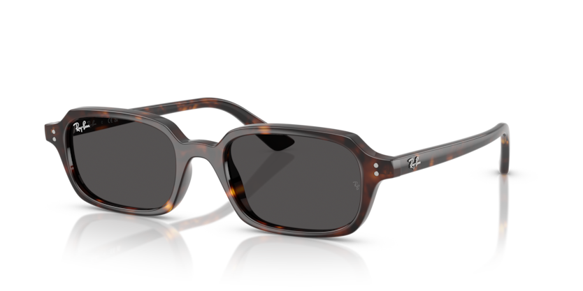 Ray-Ban 0RB4455F Zuri | WebEyeCare