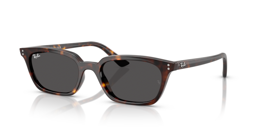 Ray-Ban 0RB4456 Zaya | WebEyeCare