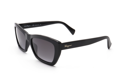 Shop for Ferragamo SF958S