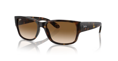 Shop for Ray-Ban RB4388