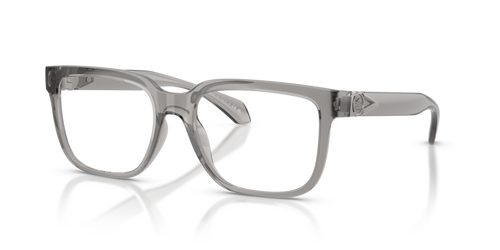 Shop for Versace 0VE3377U