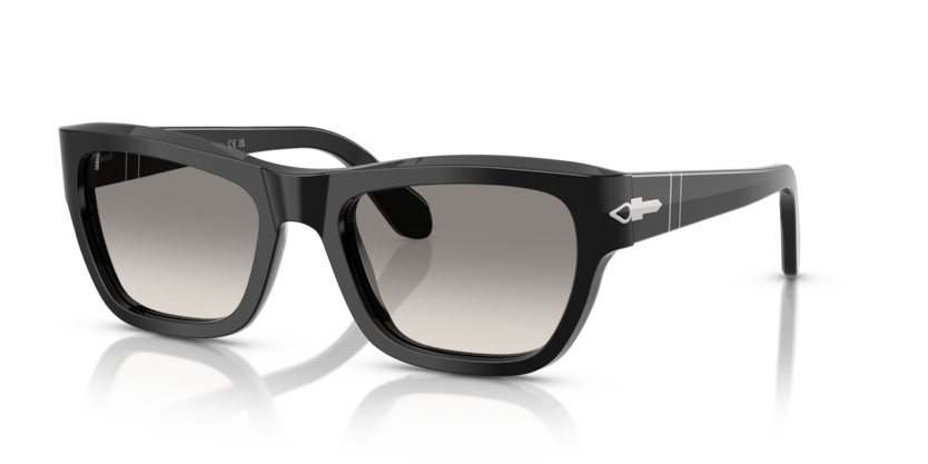 Shop for Persol 0PO0091S