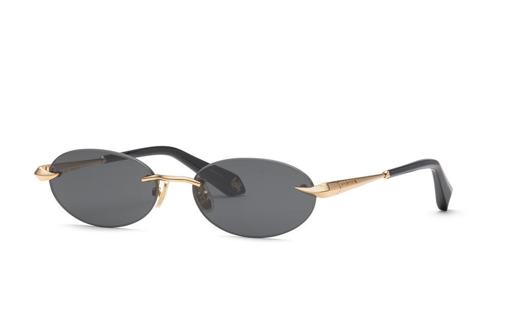 Shop for Roberto Cavalli SRC152M
