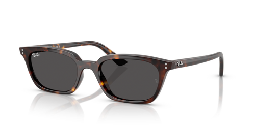 yyy　rays Ray-Ban 0RB4456 Zaya | WebEyeCare