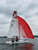 Melges 15 - One Design