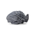 Shower Cap