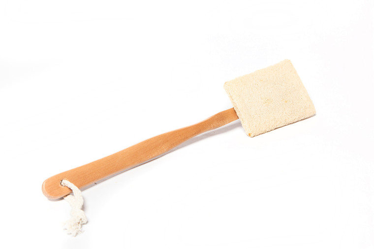 Detachable Loofah on a Stick