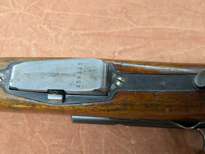 W+F Bern Model 1911 Rifle