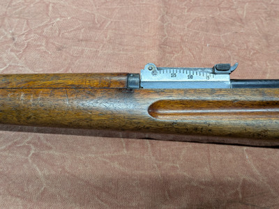 W+F Bern Model 1911 Rifle