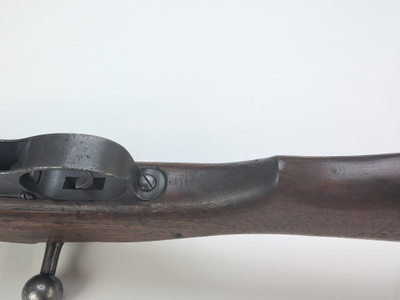 WW1 Steyr M95 Long Rifle 8X50 - Duffel Cut Bring Back W/ Unit Marking