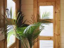 California shed windows in the front corner