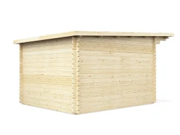 Modern shed with slanted roof