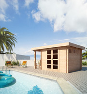 Modern shed kit pool house