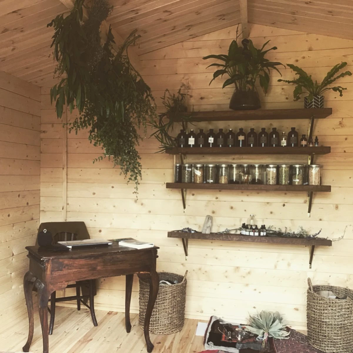 Wood-panelled shed interior styled as a herbalist studio