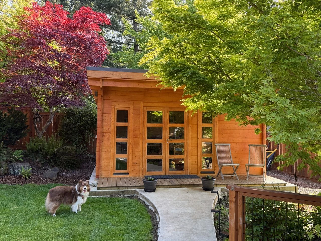 Cedar shed nestled among Japanese maples