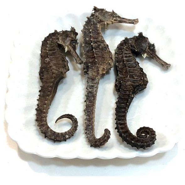 Old Sheung Wan Large Dried Seahorse 1 Tael