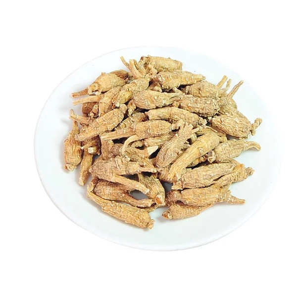安記原尾特泡參150G
