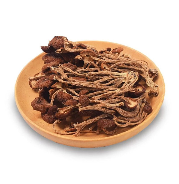 On Kee Superior Tea Plant Mushroom 150G
