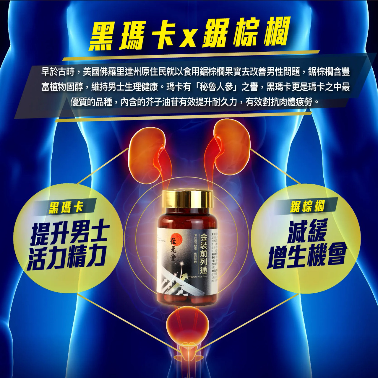 金裝前列通、壯陽、補腎、腎虛、鹿尾巴、海狗丸、鹿茸、位元堂、男士產品