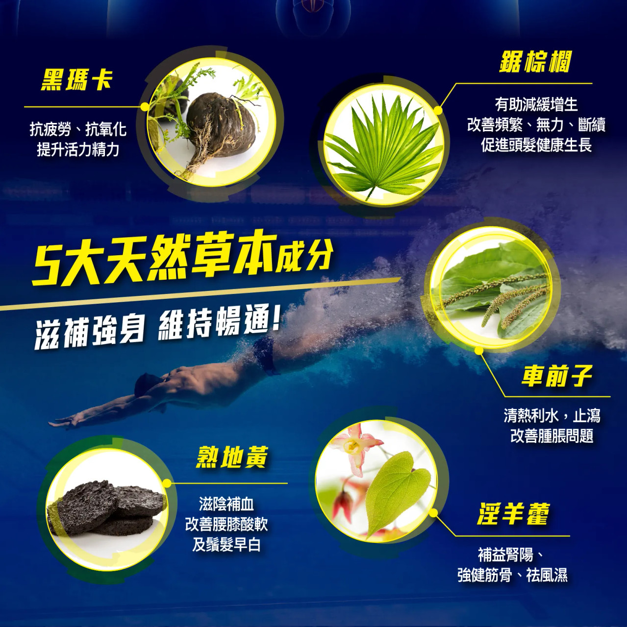 金裝前列通、壯陽、補腎、腎虛、鹿尾巴、海狗丸、鹿茸、位元堂、男士產品