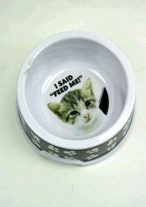 CAT BOWL
