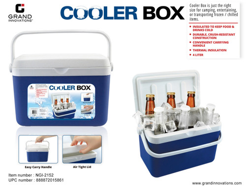 MINI COOLER BOX
