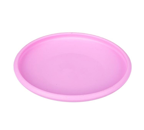 SILICONE PET PLATE