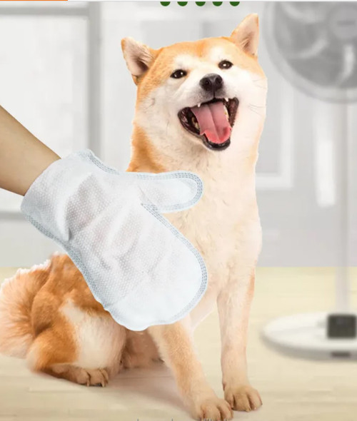 PET WIPES GLOVE 20 COUNTS COCONUT