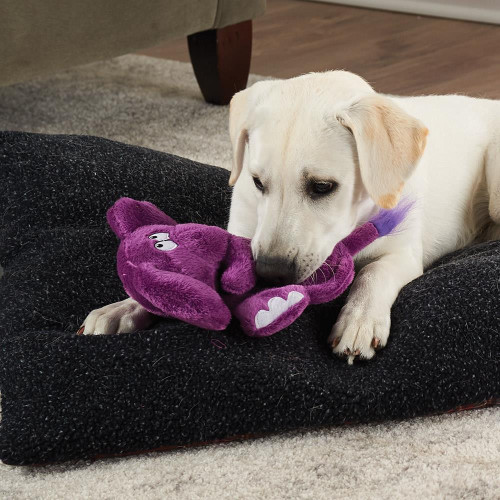 SILENT SQUEAKING DOG TOY