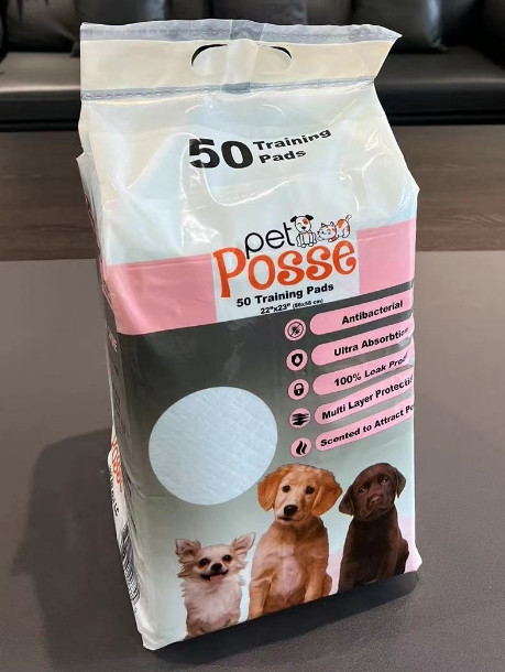 REGULAR PEE PADS 22*22, 28G/3G, 50PK