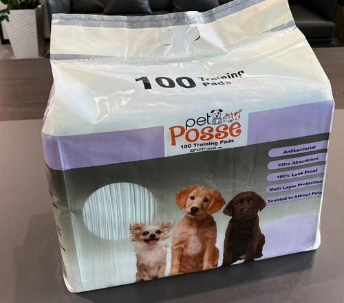 REGULAR PEE PADS 22*22, 28G/3G,100PK,GRASS SCENT