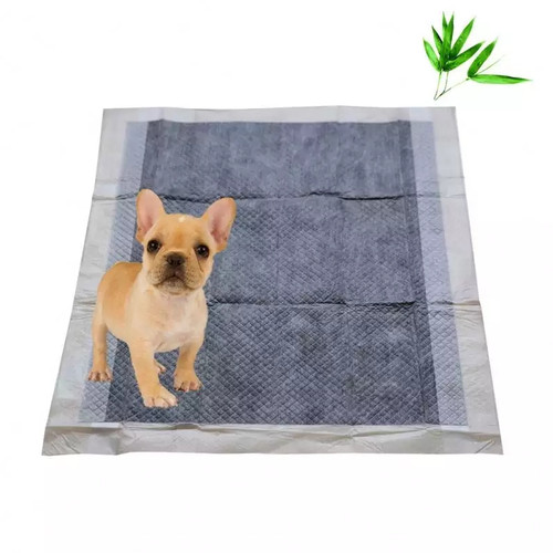 CHARCOAL PEE PADS - MEDIUM 100PK