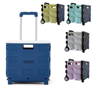 FOLDABLE SHOPPING CART PP