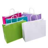 Guidance for the 1st of July Plastic Bag Ban - Are you ready? - Surestyle Limited