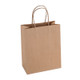 Paper Bag Medium Tall 210w x 110d x 270h Pack 200