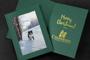 Silver Stars Photo Insert Christmas Cards, Personalized