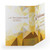 Front and back design of stained glass modern church welcome folder Front and back design of stained glass modern church welcome folder